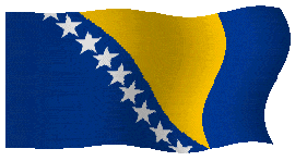 bosnia_flag.gif